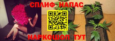 мдма Сланцы