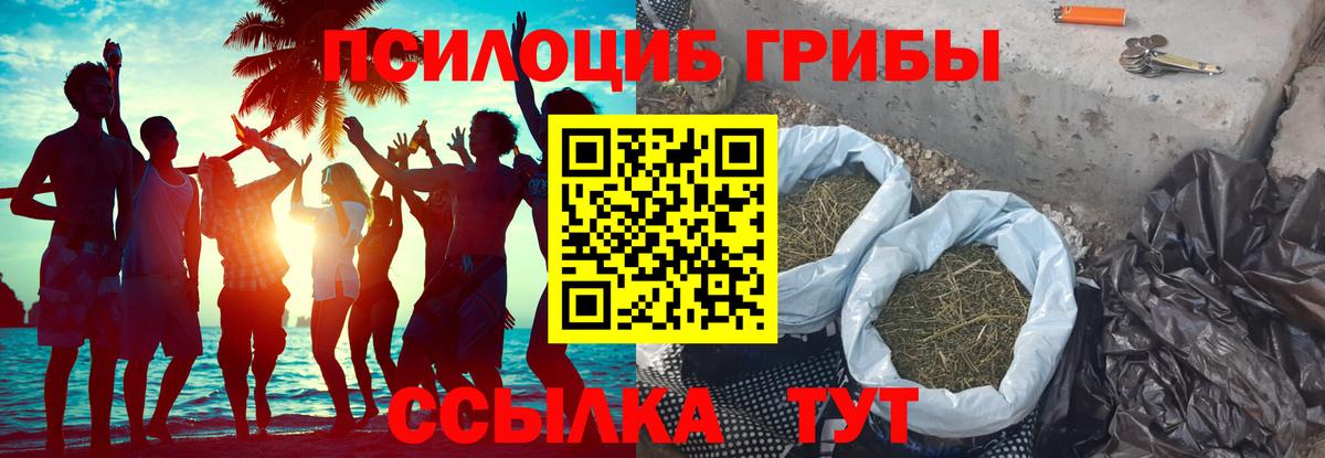 Галлюциногенные грибы Psilocybe  Галлюциногенные грибы ЛСД  Вход с VPN  хочу   Реж 